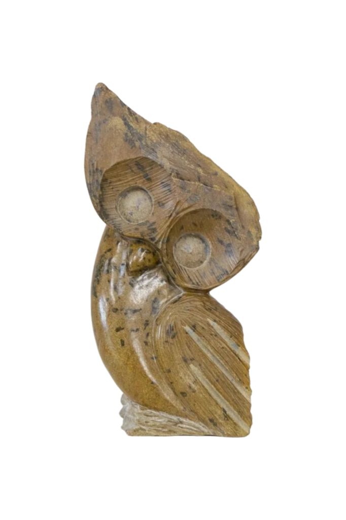 Silent Wisdom Owl